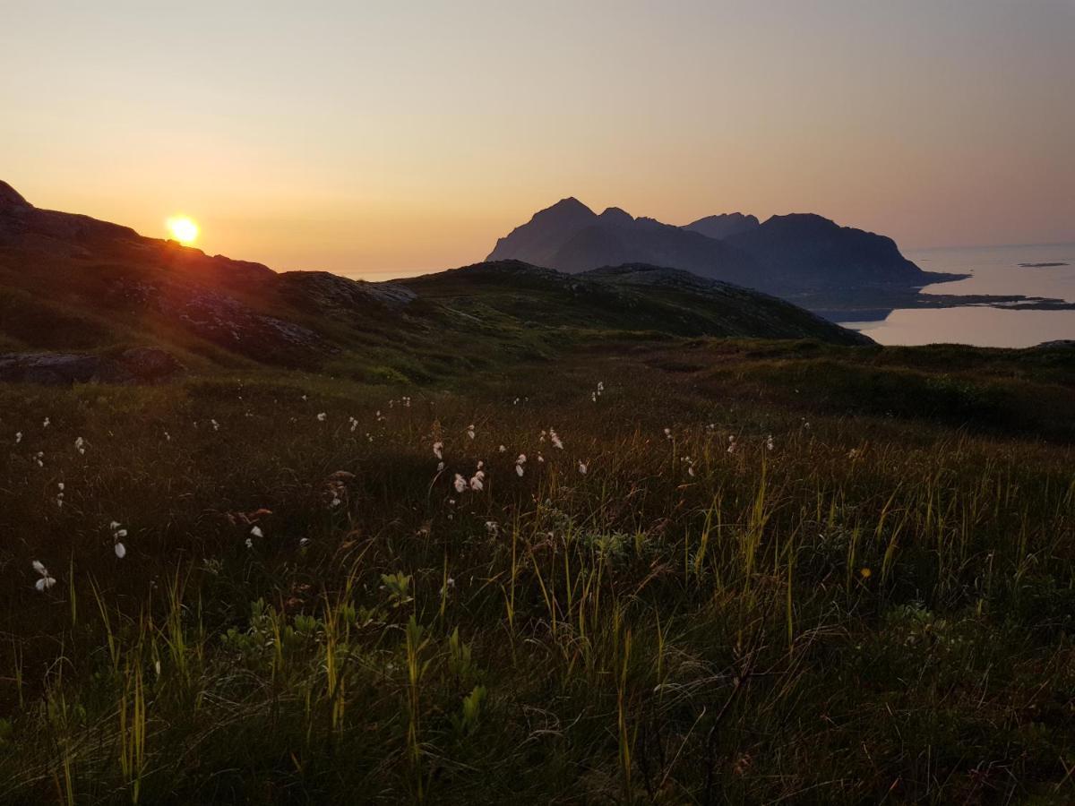 Villa Walter Lofoten With Sauna Kvalnes  Luaran gambar