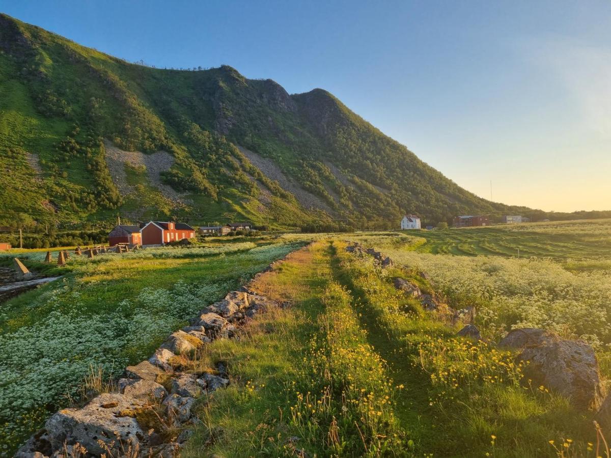 Villa Walter Lofoten With Sauna Kvalnes  Luaran gambar