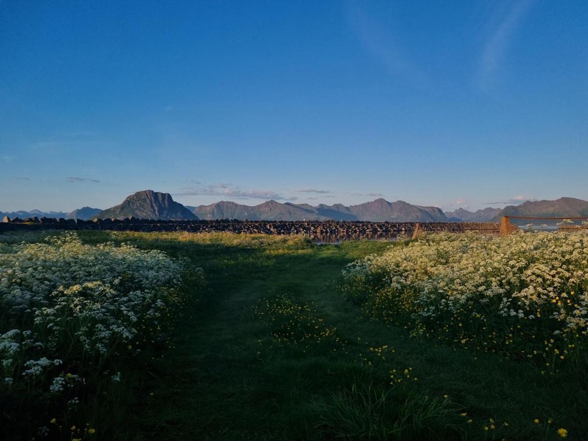 Villa Walter Lofoten With Sauna Kvalnes  Luaran gambar